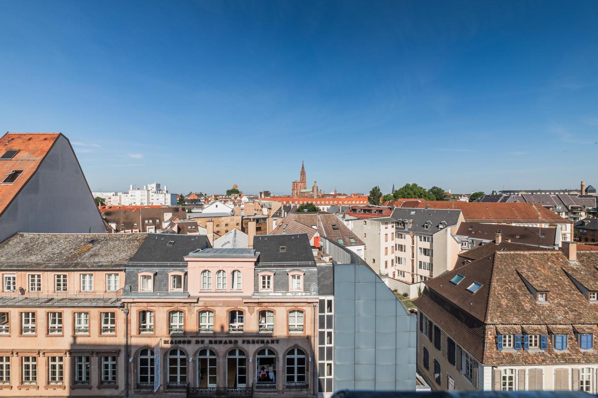 Appartement Panorama Cathedrale - Appt Lumineux Avec Parking Prive Strasbourg